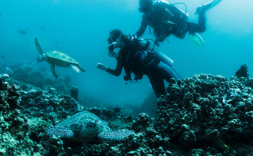安缦湾澜度假村潜水中心，潜水员在清澈蓝色海水中探索珊瑚礁。