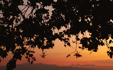 安缦湾澜度假村日落时分，木制码头在金色天光下映入水面，树叶在前景中轮廓分明。