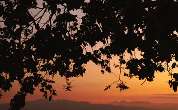 Wooden jetty silhouetted against an orange sunset at Amanwana, framed by tree branches overhead.