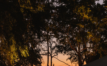 安缦湾澜度假村傍晚时分，树木剪影衬托着橙色天空和点亮的建筑。