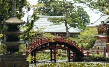 Arched wooden bridge over a pond surrounded by lush greenery at Amanemu.