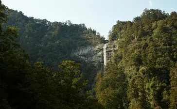Waterfall cascading down forested cliffs at Amanemu.