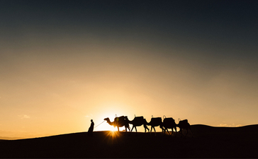 Silhouette of a family on horseback against a golden sunset at Amanjena resort.