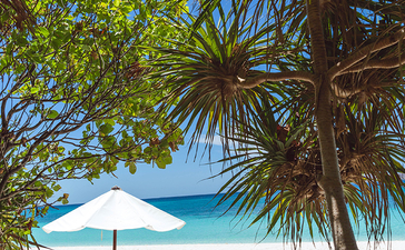 安缦璞乐度假村的白色沙滩，棕榈树和木制躺椅俯瞰清澈蓝海。