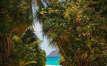 安缦璞乐度假村的沙滩小径，绿树成荫，通往碧蓝海水。