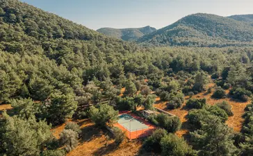 Aerial view of Amanruya's forested landscape with terracotta-toned earth pathways winding through dense green vegetation and distant mountains.