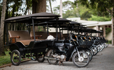 Tuk-tuk parked beneath trees at Amansara, Cambodia.