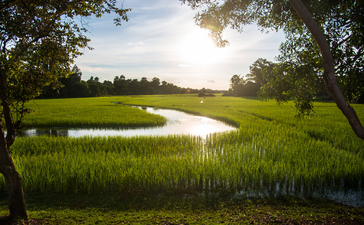 Tranquil wetland landscape at Amansara with still water reflecting golden light through tree-lined banks.