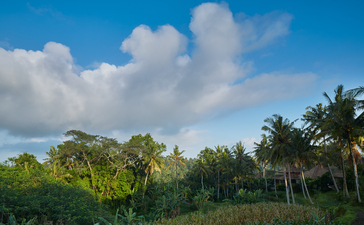 阿斯马拉套房景观，安缦黛宁度假村，热带树木和蓝天。