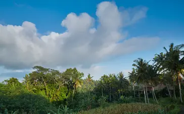 阿斯马拉套房景观，安缦黛宁度假村，热带树木和蓝天。