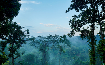 アマンダリ・リゾートの谷間の景観、朝霧に包まれた緑の山々と樹林が見える。