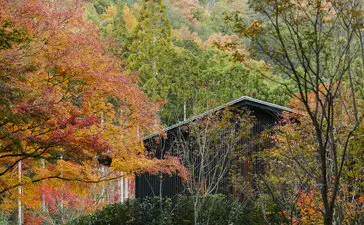 Aman Kyoto resort exterior garden with traditional architecture framed by autumn foliage.