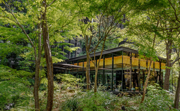 The Café at Aman Tokyo nestled amongst lush woodland with warm golden lighting.