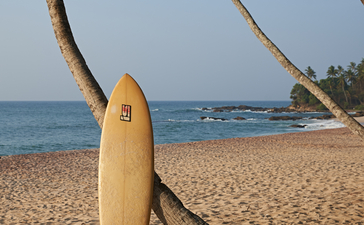 Surfboard leaning against palm tree on Amanwella's sandy beach, ocean beyond.