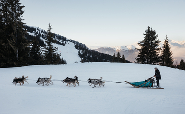 Dog sledding through snowy alpine landscape at Aman Le Mélézin, with mountains and ski slopes in background.