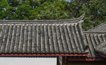 Outdoor swimming pool at Amandayan surrounded by lush greenery in China.