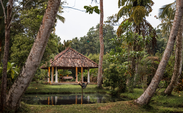 Wooden pavilion nestled amongst tall trees at Amangalla.