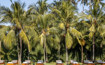 Palm trees line the waterfront at Amangalla, their reflections mirrored in the calm water below.
