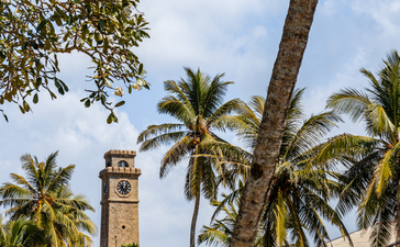 Amangalla's verdant grounds with towering palms and historic clock tower beneath blue sky.
