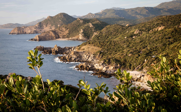 Coastal cliffs and forested hillside overlooking the turquoise waters at Amanoi, Vietnam, at sunrise.
