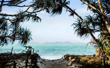 Turquoise waters and sandy beach framed by casuarina trees at Amanpulo.