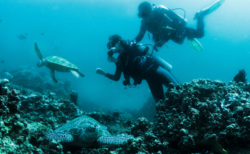 Divers exploring a coral reef at Amanpulo, Philippines, in clear turquoise waters.