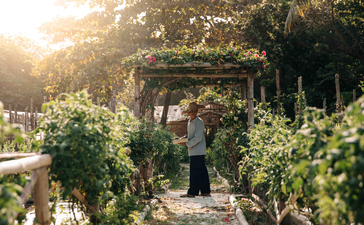 Organic garden at Amanpulo with lush greenery and wooden pergola at sunrise.