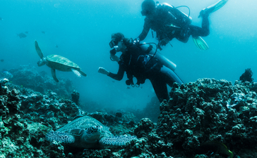 Divers exploring a coral reef at Amanpulo resort.