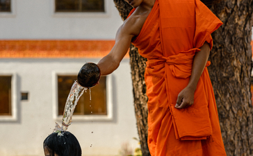 Buddhist monk in saffron robes standing by tree at Amansara, Cambodia.