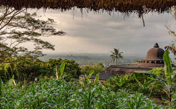 Amanjiwo temple framed by tropical vegetation and overhanging thatch.