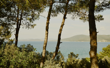 Tall pine trees frame a serene sea view at Amanruya, with distant mountains across the water.
