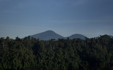 Amandari's terraced rice paddies and forested landscape frame a distant volcanic mountain at sunset.