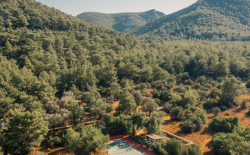 Aerial view of Amanyura tennis court nestled amongst forested hillside.