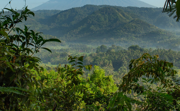 Vista de las montañas de Bali desde Amankila resort, rodeadas de vegetación tropical.