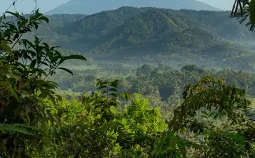 アマンキラ・リゾートから見たバリ山脈の景観、緑の森に囲まれた山々。