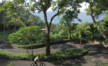 Cyclist riding through tree-lined grounds at Amankila resort, Bali.