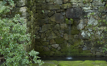 Moss-covered stone wall at Aman Kyoto with climbing ivy.