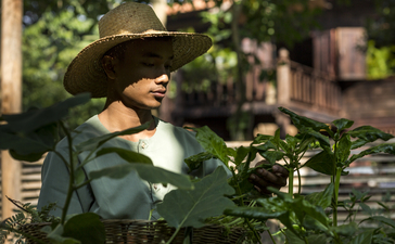 Local produce at Amansara, Cambodia, displayed at an outdoor market stall.
