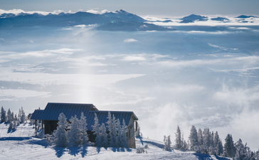 Meditations - Amangani 