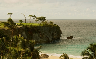 Lush coastal clifftop with palms overlooking turquoise waters at Amanera resort.