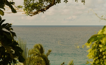 Vue sur la mer depuis Amanera, encadrée par la végétation tropicale du resort.
