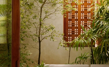 Outdoor seating area at Amanera resort with wooden furniture and climbing vines on textured walls.