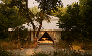 Cream canvas tent exterior at Aman-i-Khas, India, lit warmly at dusk amongst trees and golden grasses.