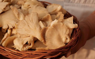 Warm bread rolls in a woven basket at Aman-i-Khas dining venue, India.