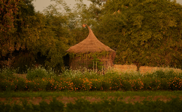 Ochre-coloured pavilion surrounded by manicured gardens at Aman-i-Khas at dusk.