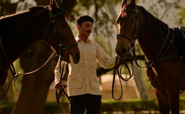Two people stand beneath an ancient tree at Amanbagh, India, sharing a moment together.