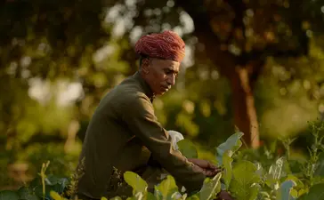 Gardener tending plants in the verdant grounds at Amanbagh.