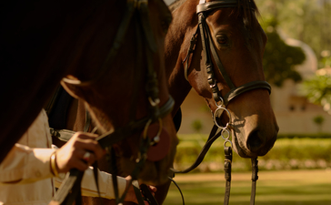 Jockey mounted on a dark horse at Amanbagh, framed against golden afternoon light.