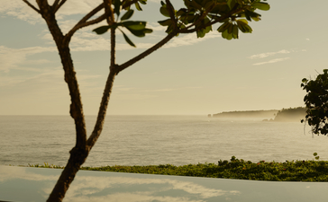 Arbre se penchant au-dessus d'une piscine infinie face à la mer, à Amanera en République dominicaine.