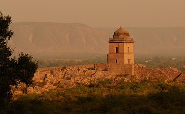 Golden-hued cenotaph rises above the desert landscape at Amanbagh, Rajasthan, at dusk.